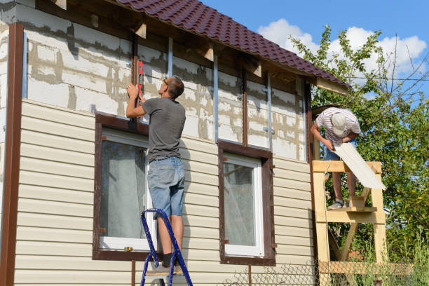 Best Custom Trim and Detailing for Siding  in Merrillville, IN