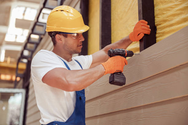 Best Vinyl Siding Installation  in Merrillville, IN