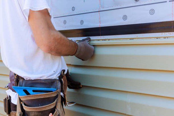 Best Historical Building Siding Restoration  in Merrillville, IN
